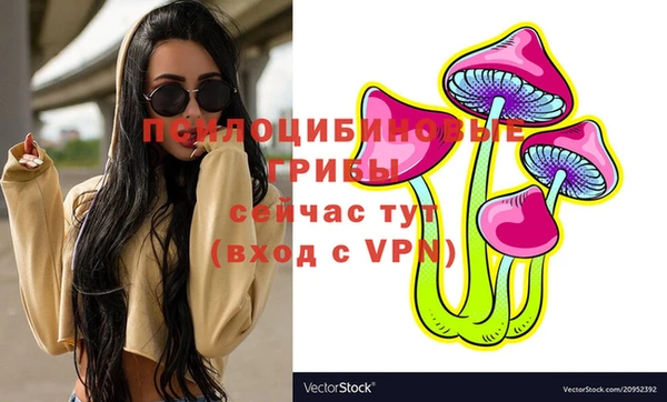 первитин Арсеньев