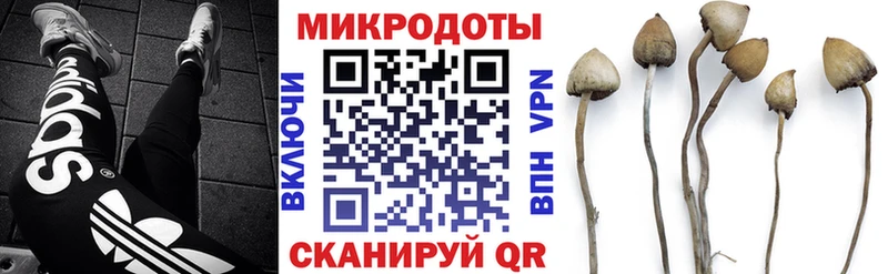 дарк нет клад  Себеж  Галлюциногенные грибы мухоморы  купить закладку 